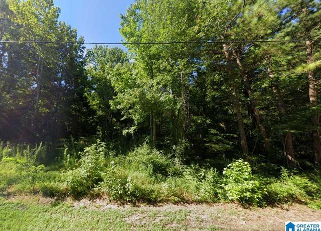 Property at 0 Loop Rd Unit -, Ashville, AL 35953