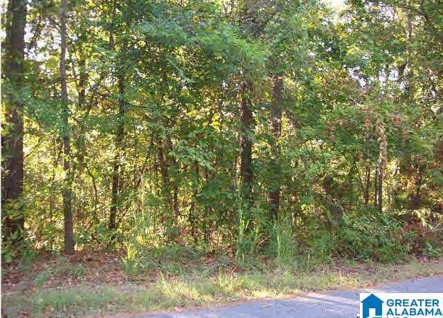 Property at 0 Haven Cir #39, Riverside, AL 35135