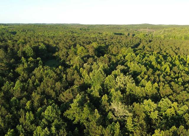 Property at 0 Bluff Springs Rd #0, Ashland, AL 36251