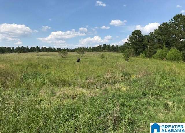 Property at 0 Sanie Rd Unit 878+/- Acres, Odenville, AL 35120