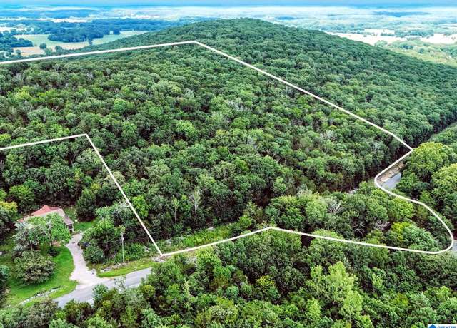 Property at 0 County Road 59 #0, Moulton, AL 35650