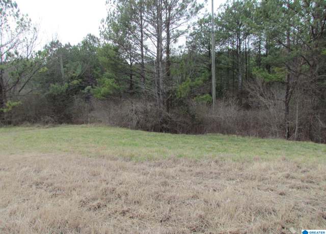 Property at 00 Highway 75 #0, Remlap, AL 35133