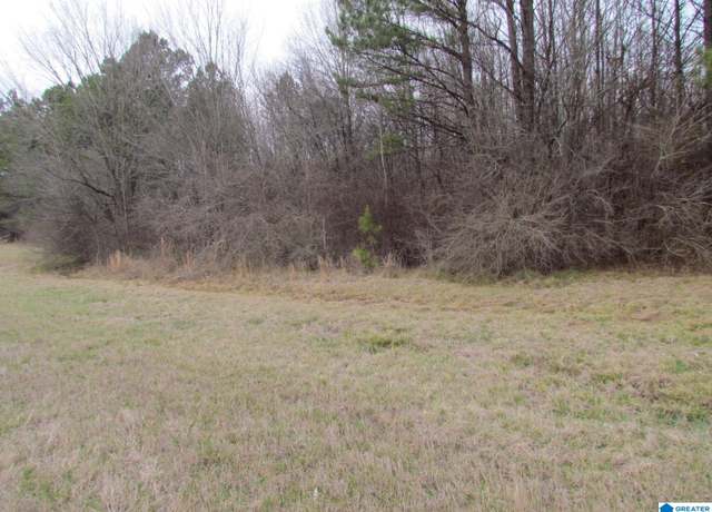 Property at 0 Highway 280 #1, Harpersville, AL 35078