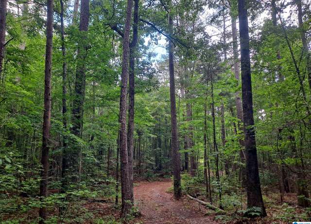 Property at 808 Fulton Hill Rd #808, Oakman, AL 35579