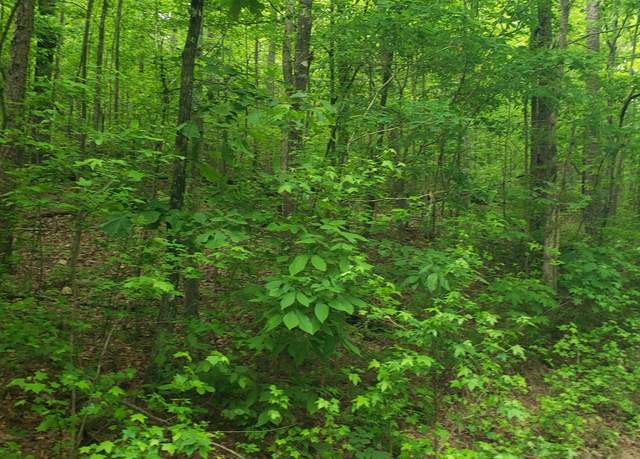 Property at 000 Weems Rd #1, Trussville, AL 35173
