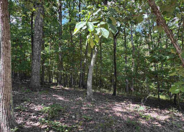 Property at 0 Allison Ln #2, Trussville, AL 35173