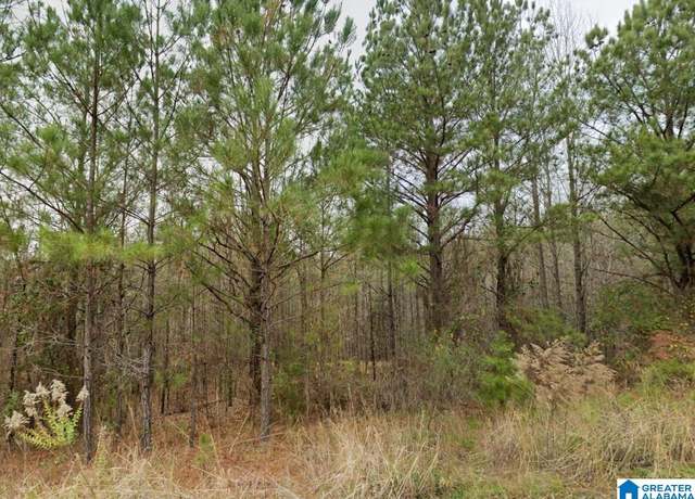Property at 0 Rosser Rd Unit -, Duncanville, AL 35456