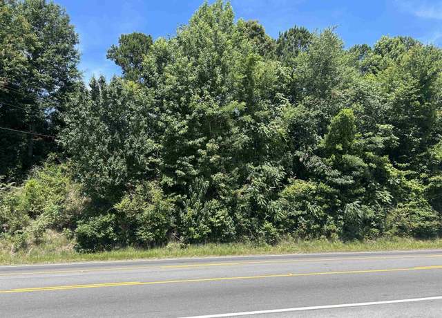 Property at 0 Highway 431 #1, Roanoke, AL 36274