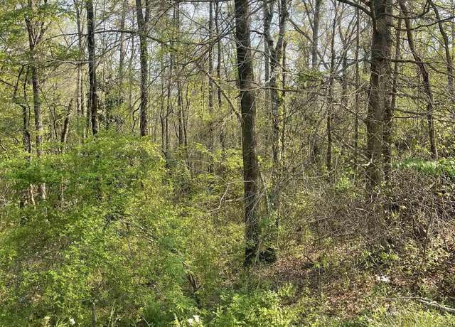 Property at 0 Sugar Hill Dr Unit 29 & 28, Heflin, AL 36264