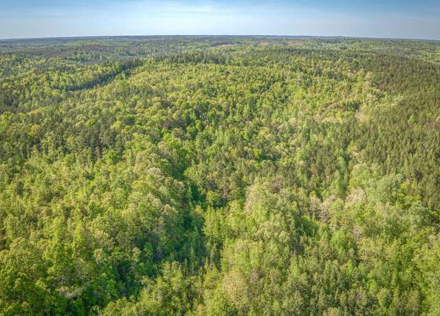 Property at 87 Acres Kay Hollis Rd Unit None, Beaverton, AL 35544