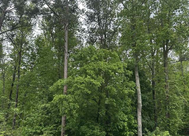 Property at 0 Highway 174 #0, Pell City, AL 35125