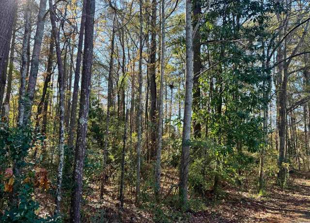 Property at Lots 8 & 17 Lane Ave Lot 8 & 17, Roanoke, AL 36274