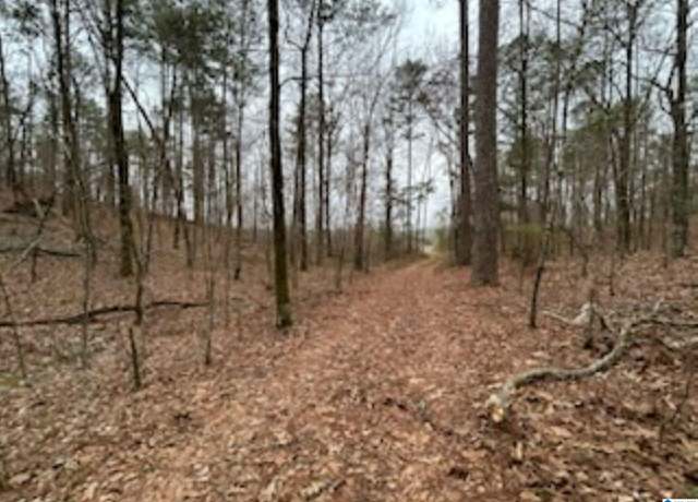 Property at 000 Highway 55 #0, Wilsonville, AL 35186