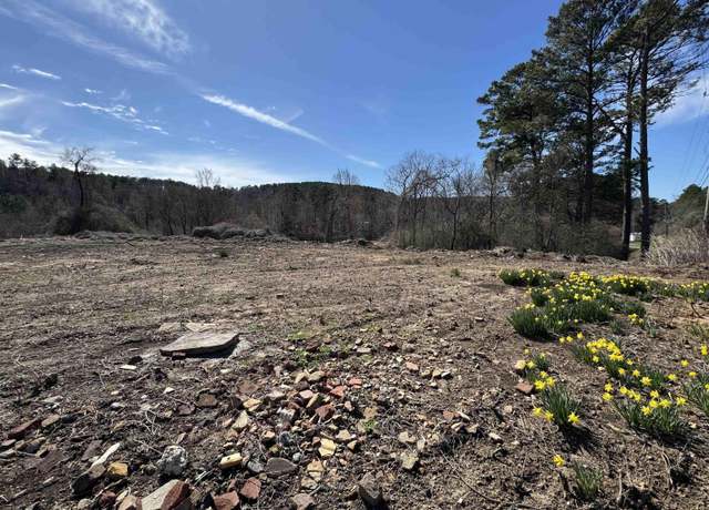Property at 0 Columbus Blvd #0, Cordova, AL 35550