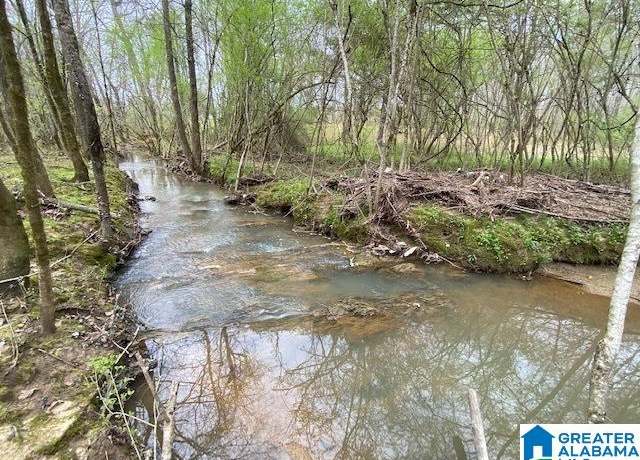 Property at N Wolf Creek Rd Unit 34 Acres, Pell City, AL 35125