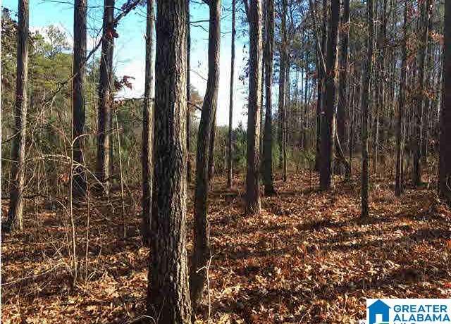 Property at 59 Haines Dr #59, Vincent, AL 35178