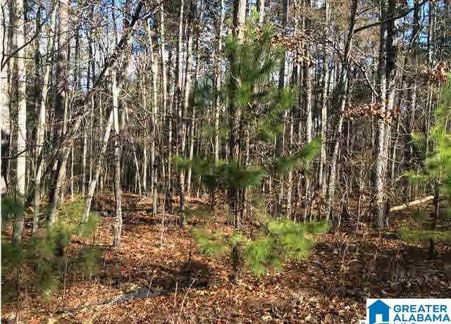 Property at 61 Haines Dr #61, Vincent, AL 35178