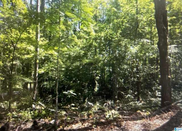 Property at 0 Gemini Cir Lot 53, Alpine, AL 35014