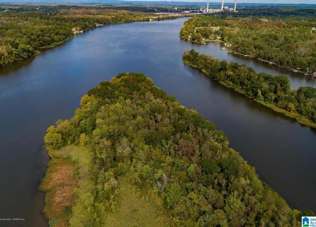 Property at 1 Friendly Is #0, Wilsonville, AL 35186