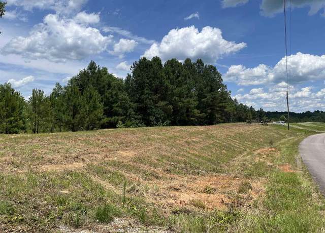 Property at 0 County Road 367 #38, Crane Hill, AL 35053