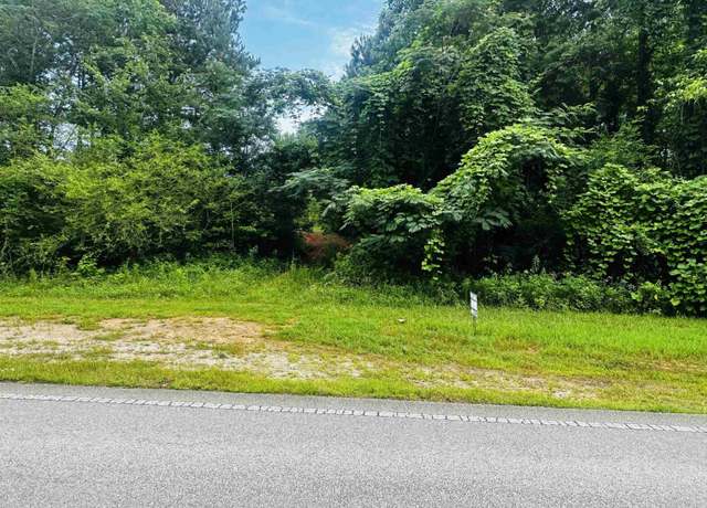 Property at 000 Highway 48 #0, Lineville, AL 36266