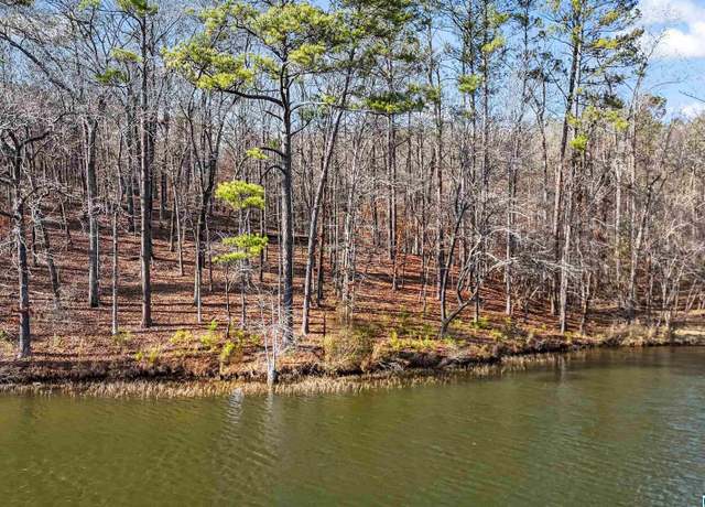 Property at Lot 5 Big Y Cove Loop #5, Rockford, AL 35136