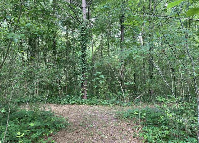 Property at 3500 Talladega Hwy #0, Sylacauga, AL 35150