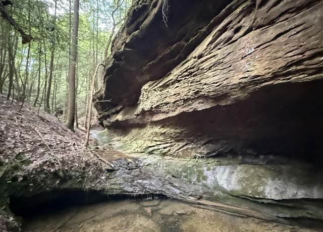 Property at 50 Acres County Road 2 Unit 50+/- Acres, Double Springs, AL 35553