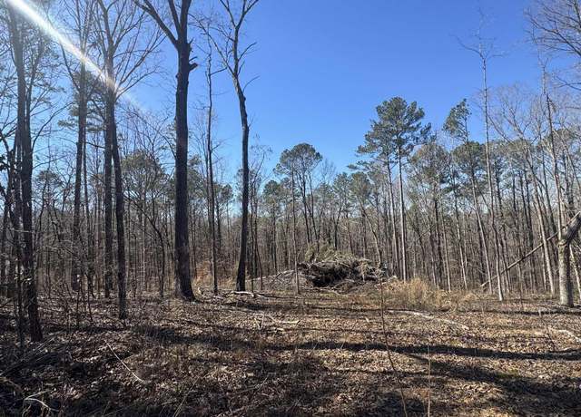 Property at 0 Rosser Ln Lot 1 Boundary and Division Tracts 7&8 Tannehills, Tuscaloosa, AL 35111