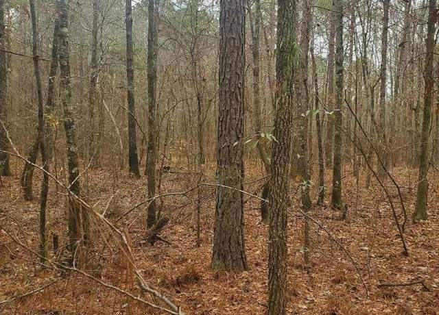 Property at 0 Wood Ln #0, Ashville, AL 35953
