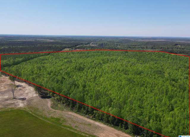 Property at 160 Acres County Road 73 Unit 2000-3000, Randolph, AL 36792