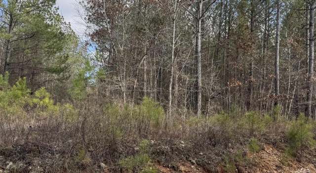 Photo of 15 Acres / 823 County Road 823 Lot 1, Wadley, AL 36276