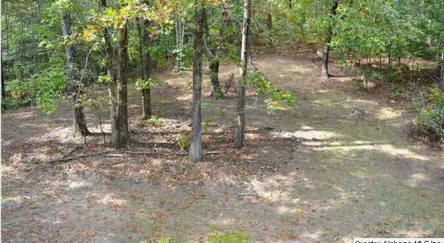 Photo of 115 Mountain Oaks Dr, Sterrett, AL 35147