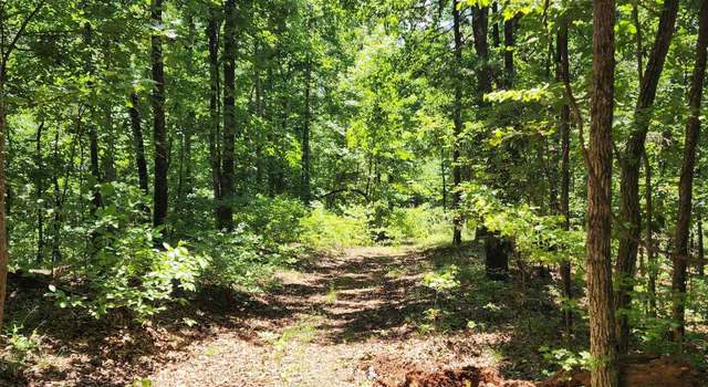 Photo of County Road 177 #146, Crane Hill, AL 35053