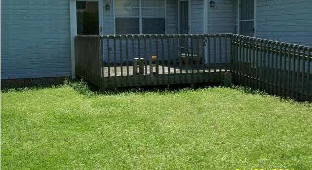 Photo of 1004 19th Ave NW, Birmingham, AL 35215
