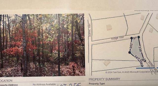 Photo of 0 Echo Trl #255, Warrior, AL 35180