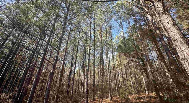 Photo of 0 County Road 336 Unit N/A, Maplesville, AL 36750