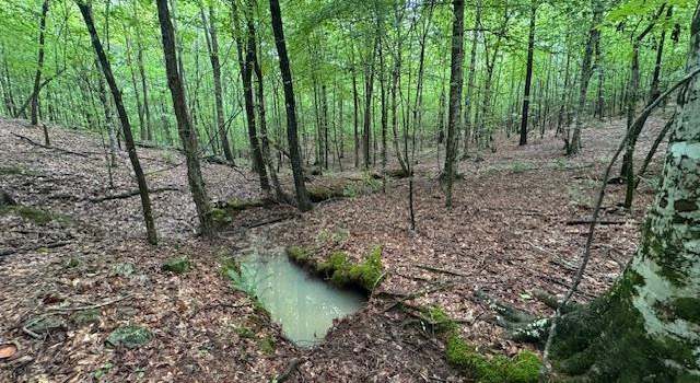 Photo of County Road 79 Unit 70 Ac, New Site, AL 36256