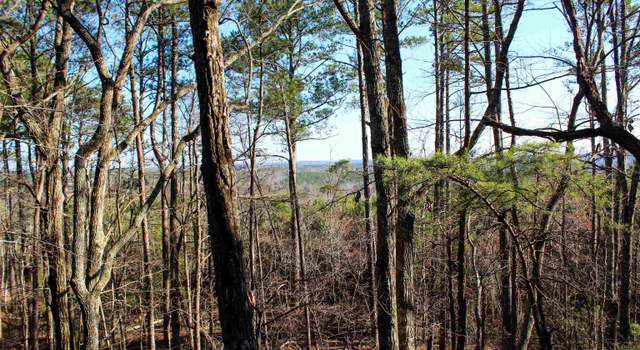 Photo of 1 County Road 37 #1, Lynn, AL 35575