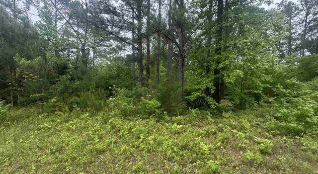 Photo of 0 County Road 42 #0, Jemison, AL 35085