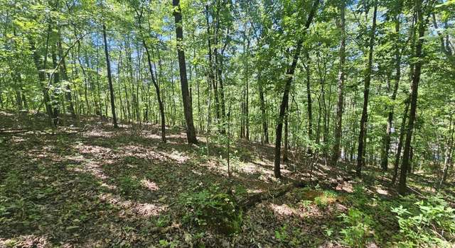 Photo of 0 Hollys Ln #0, Riverside, AL 35135
