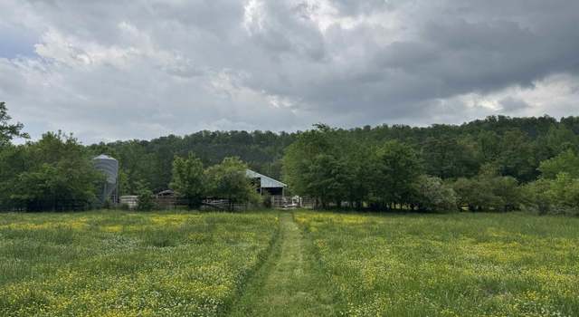 Photo of 1045A Sand Valley Rd, Remlap, AL 35133