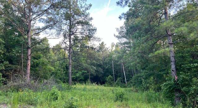 Photo of 59 County Road 976 #1, Jemison, AL 35085