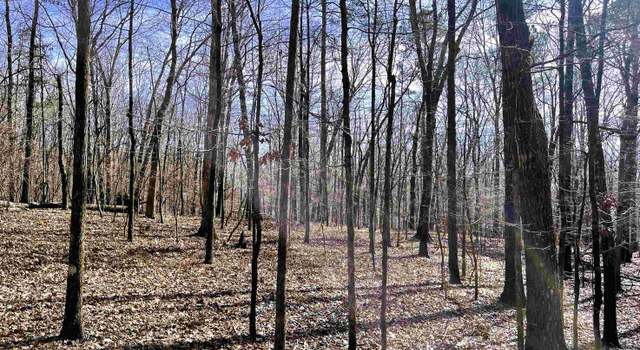 Photo of 0 County Road 852 #2, Heflin, AL 36264