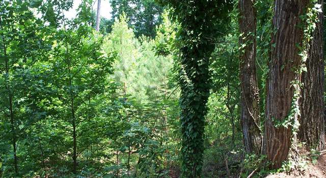 Photo of 850 Sardis Rd #1, Cragford, AL 36255