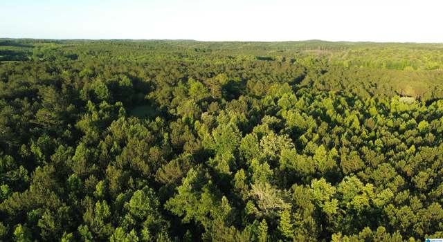 Photo of 0 Bluff Springs Rd #0, Ashland, AL 36251