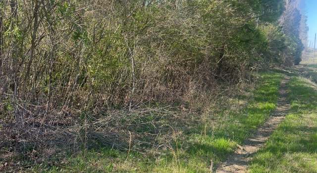 Photo of 0 Alabama Highway 77 Unit 42 Acres, Ohatchee, AL 36271