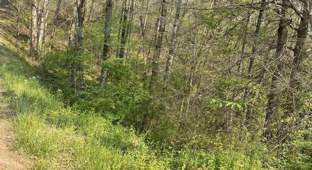 Photo of 0 Sugar Hill Dr Unit 29 & 28, Heflin, AL 36264