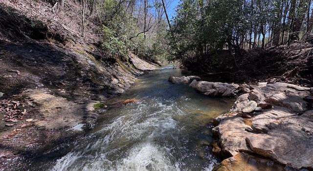 Photo of 1506 County Road 621 Unit 29 Acres, Woodland, AL 36280