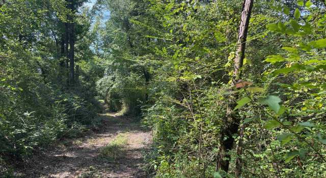Photo of 1675 Blue Eye Springs Rd, Lincoln, AL 35096